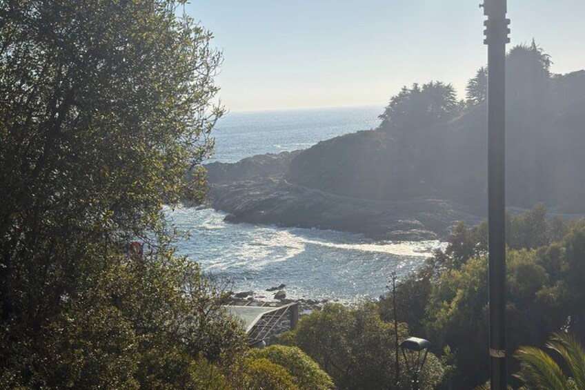 Papudo Coastal Ride and Humboldt Island Wolves and Penguins 4