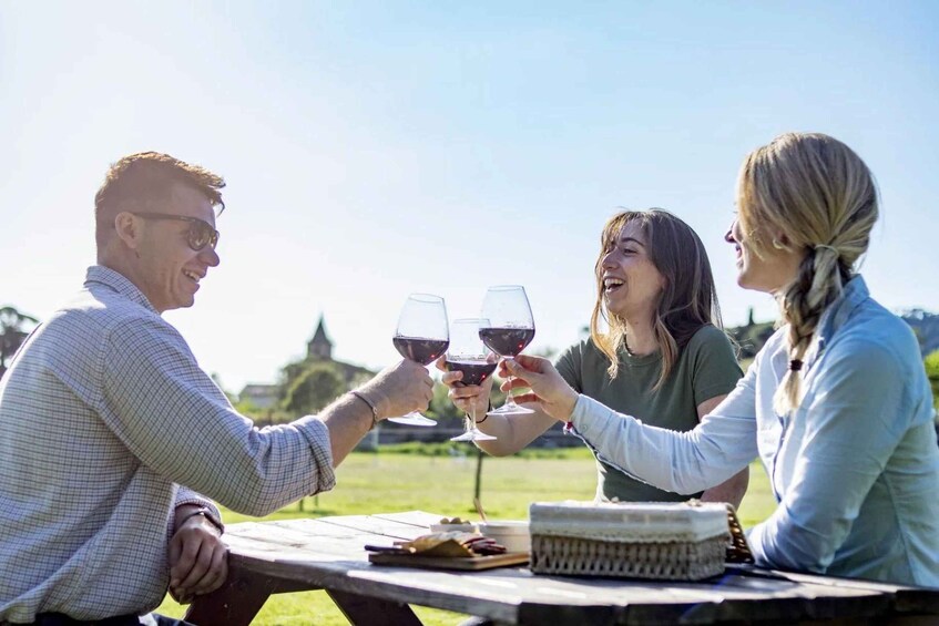A group of people toasting with wine glasses at an outdoor table with a picnic basket. 5