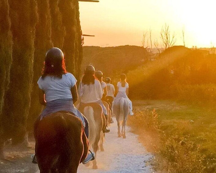 Certosa di Calci: Relax at sunset with a horseback ride through nature 1