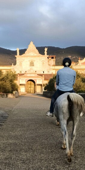 Picture 5 for Activity Certosa di Calci: Relax at sunset with a horseback ride through nature 4