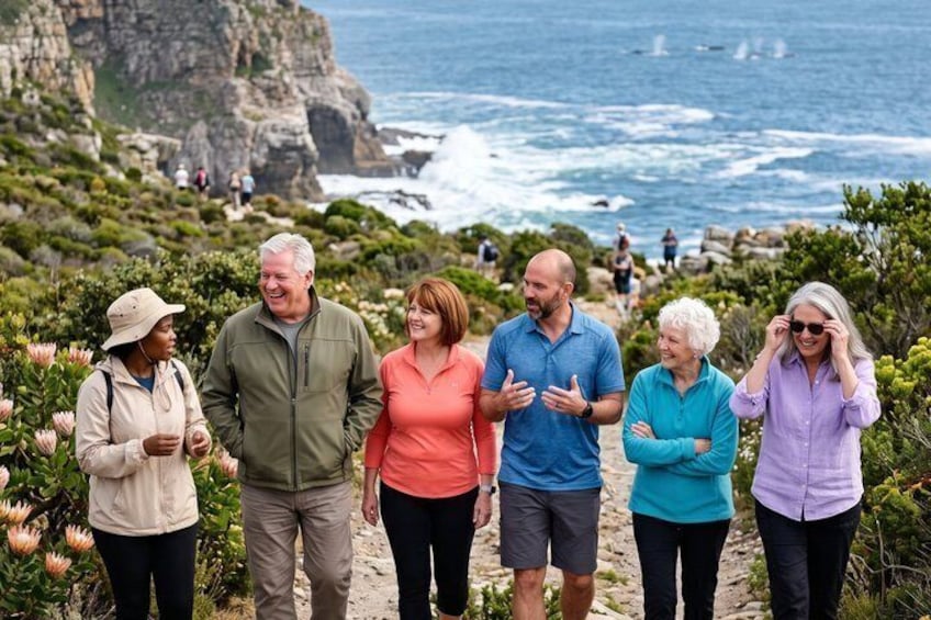 Private Customizable Cape Town Whale Wonders Tour 3