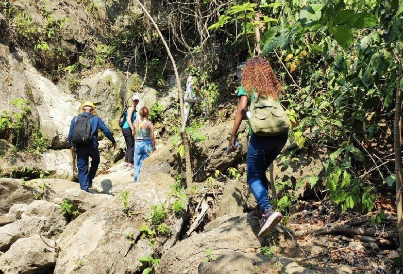 Hikers walking on a rocky trail surrounded by dense foliage. 5