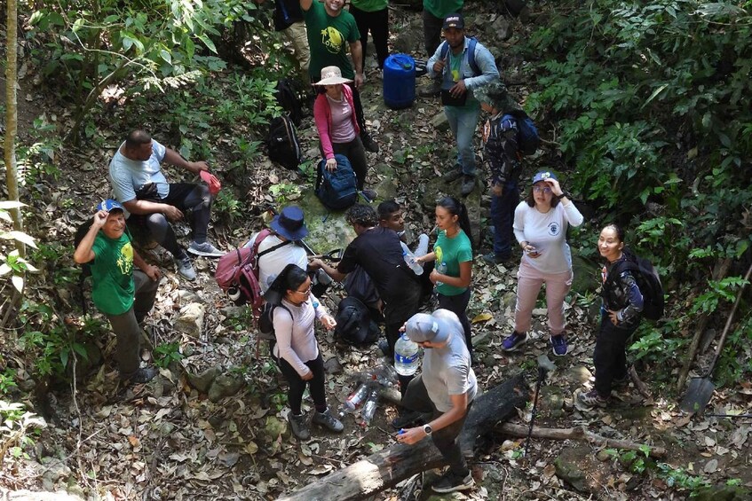 A group of people hiking in a forested area with dense vegetation and rocky terrain. 4