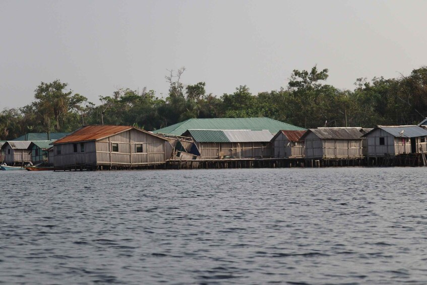 Picture 5 for Activity Full-Day Trip from Cape Coast to Nzulezo, the Village on Stilts 5