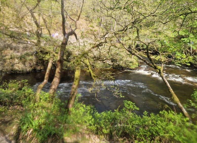 Picture 6 for Activity Guided Breacon Beacons 4 waterfalls in day hike from Cardiff 3