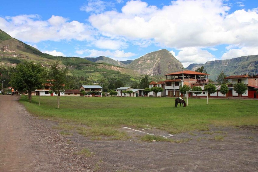 Picture 3 for Activity From Chachapoyas: Hike to the Gocta Waterfall with Lunch 3