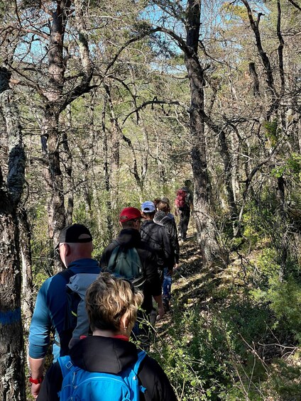 Picture 7 for Activity Discover the Gorges de la Méouge by hiking 3