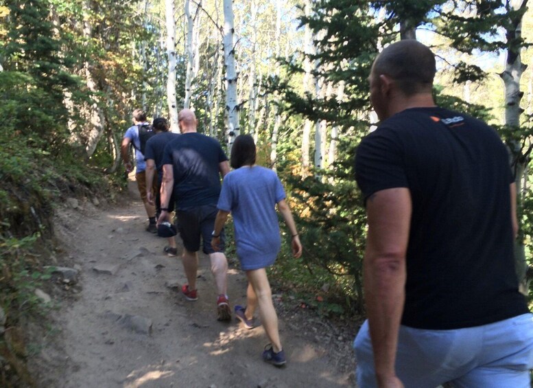 Picture 2 for Activity Park City: Guided Hiking Tour on Public Land Trails 3