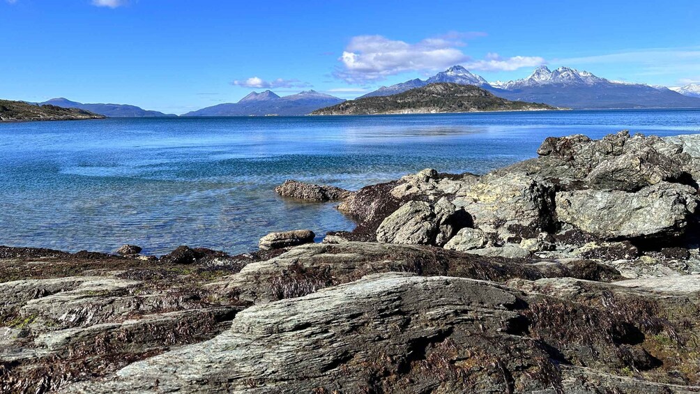 Picture 1 for Activity Private Tour of Tierra del Fuego National Park 2