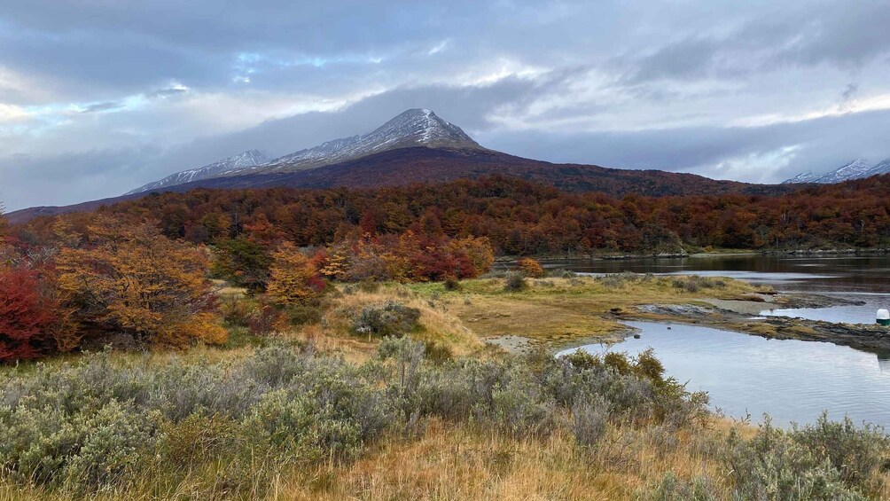 Private Tour of Tierra del Fuego National Park 1