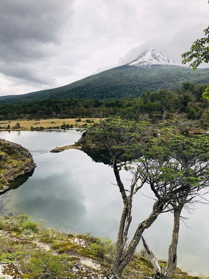 Picture 6 for Activity Private Tour of Tierra del Fuego National Park 3