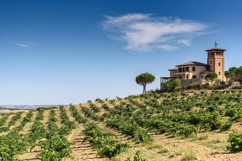 Picture 4 for Activity Piedra experience, discovering Spain's oldest wine 4
