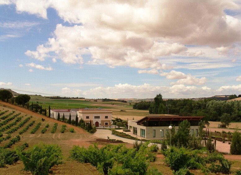 Picture 2 for Activity Piedra experience, discovering Spain's oldest wine 3