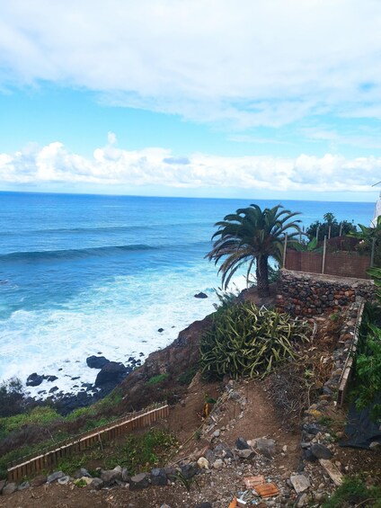 A coastal landscape with a wooden fence, palm trees, and a rocky shoreline. 3