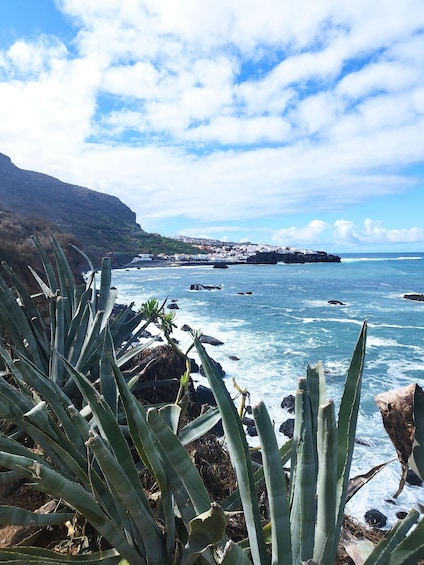 A coastal landscape with aloe plants, rocky shoreline, ocean waves, and a distant town. 1
