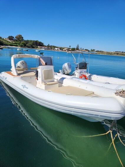 Syracuse: Private inflatable boat cruise for a day on the sea 1