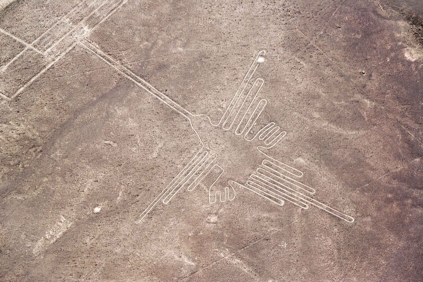 Picture 3 for Activity Nazca: Experience a Magical Flight Over the Ancient Lines 2