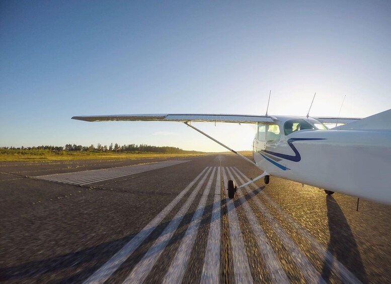 Picture 5 for Activity Nazca: Experience a Magical Flight Over the Ancient Lines 4