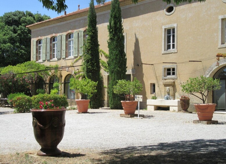 Picture 1 for Activity Vaucluse - Tasting & tour in Saint Estève: Our Viognier whites 2