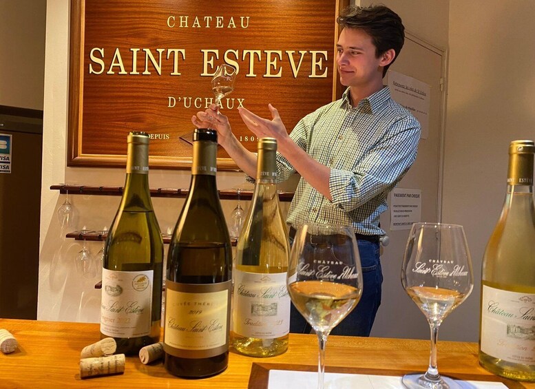 Vaucluse - Tasting & tour in Saint Estève: Our Viognier whites 1
