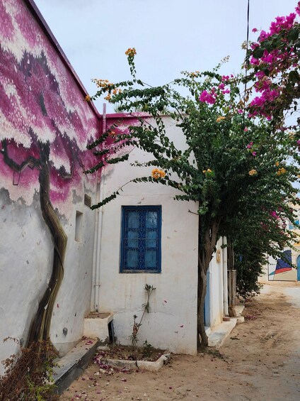 Picture 30 for Activity MTB Bike rental in Djerba with transfers included: Freedom Guaranteed! 4H/8H 5