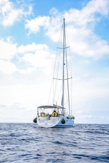 Picture 4 for Activity Kanpai Private Charter Explore Malta, Comino, Gozo 2