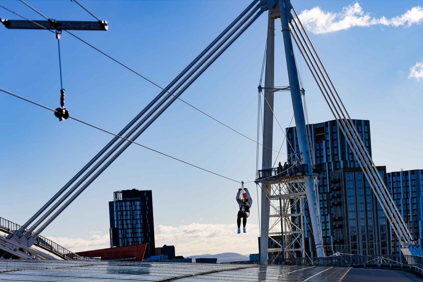 Picture 5 for Activity Cardiff: Principality Stadium zip line (Stadium Flyer) 3