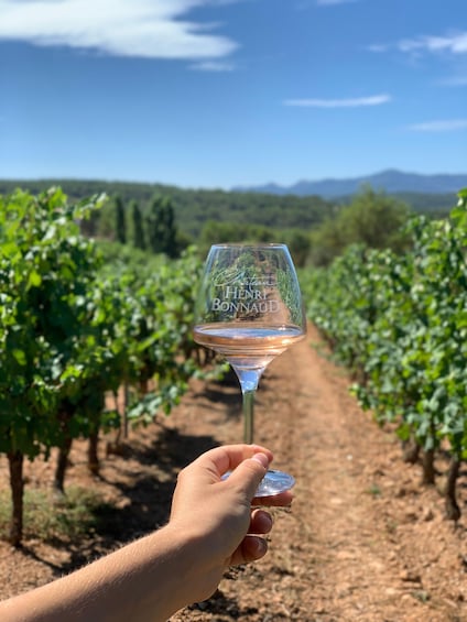 Château Henri Bonnaud Gourmet Wine Tasting & Tour 1