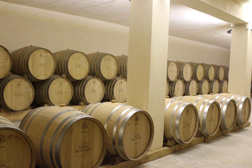 Picture 5 for Activity Château Henri Bonnaud Gourmet Wine Tasting & Tour 4