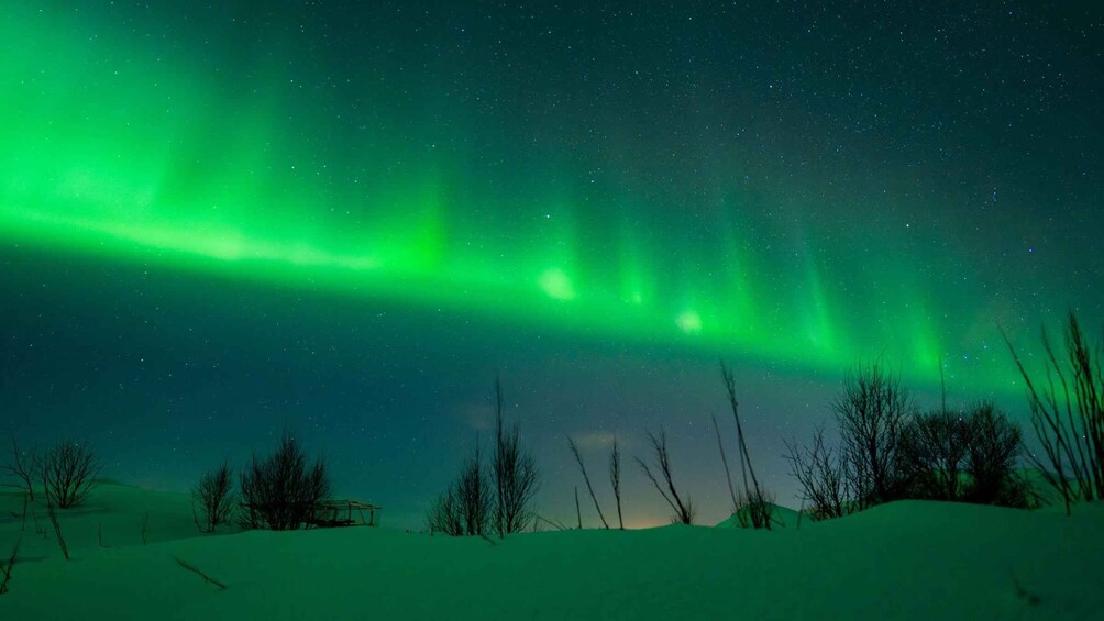 Picture 9 for Activity Henningsvær: Northern Lights Tour with Photographer 5