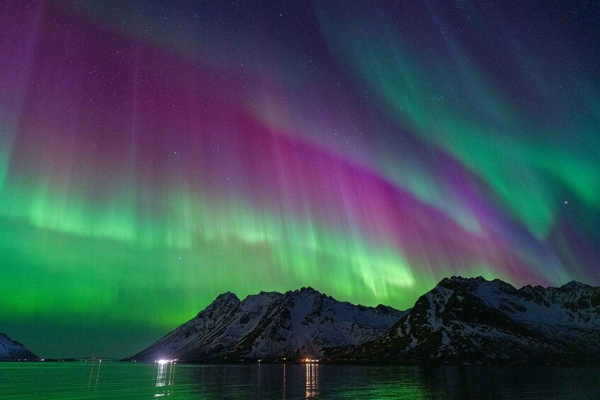 Picture 1 for Activity Henningsvær: Northern Lights Tour with Photographer 3