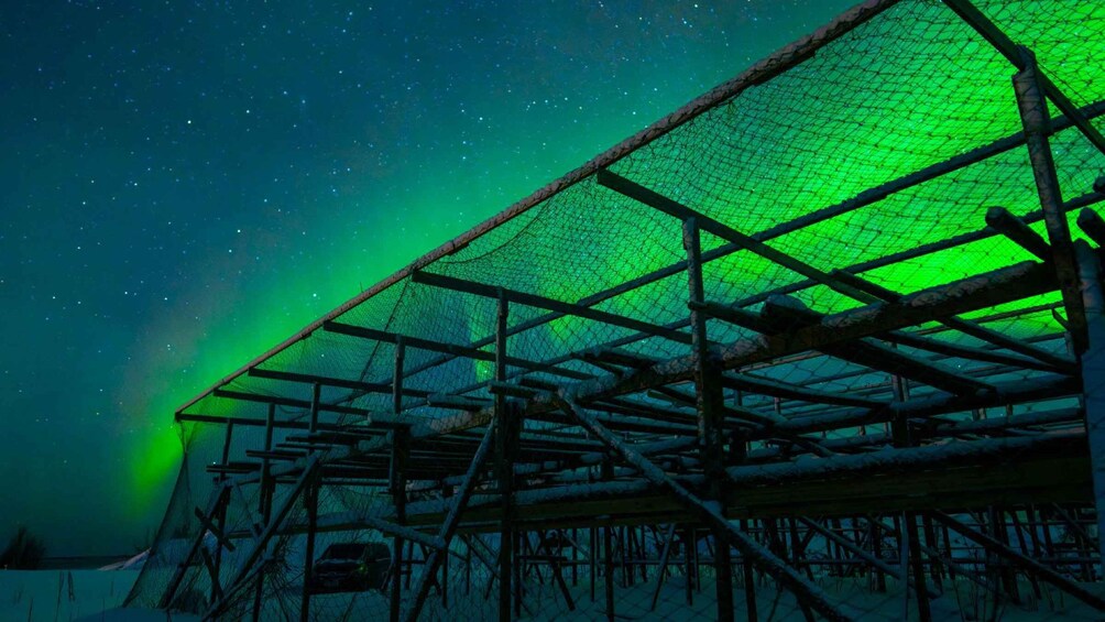 Picture 13 for Activity Henningsvær: Northern Lights Tour with Photographer 4