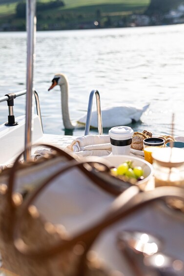 Picture 1 for Activity Lucerne: Pedalo Picnic with Breakfast on Lake Lucerne 2