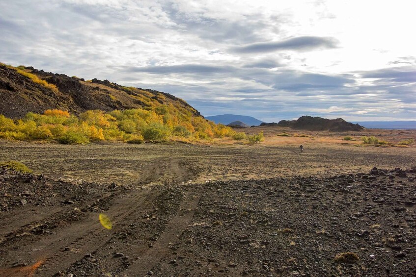 Picture 2 for Activity Reykjahlíð: Mývatn Nature Baths Bike Tour with Entry Ticket 4