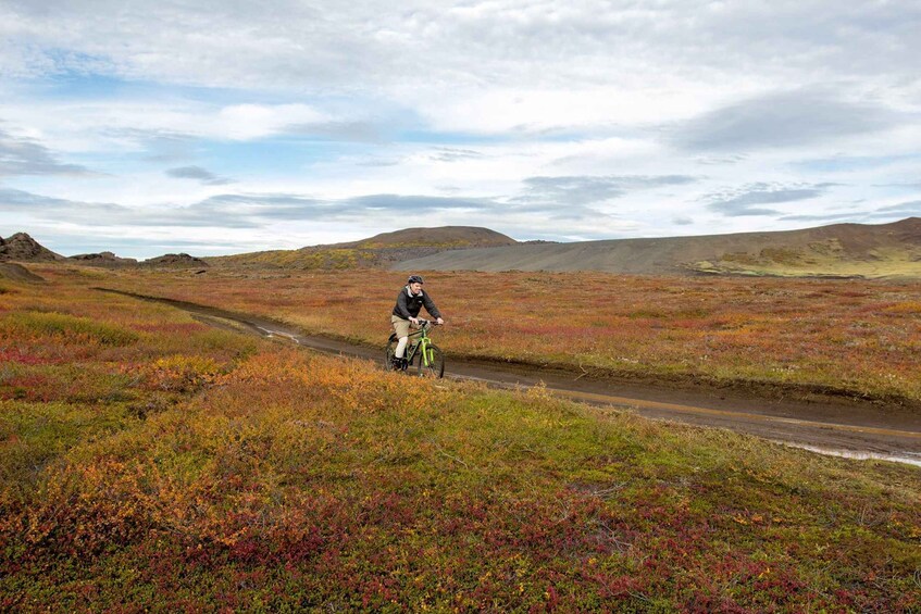 Picture 3 for Activity Reykjahlíð: Mývatn Nature Baths Bike Tour with Entry Ticket 2
