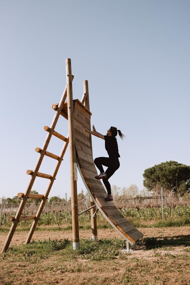 Albias - 2-hour access to obstacle courses - 40 obstacles 1