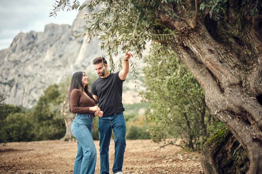 Picture 4 for Activity Sainte-Victoire: Tour of a Sanctuary of Thousand-Year-Old Olive Trees 2