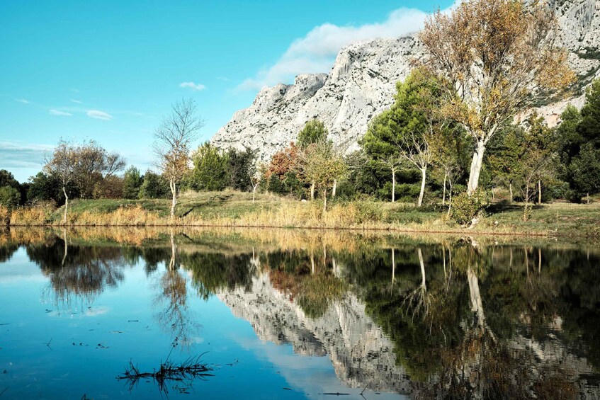 Picture 1 for Activity Sainte-Victoire: Tour of a Sanctuary of Thousand-Year-Old Olive Trees 5