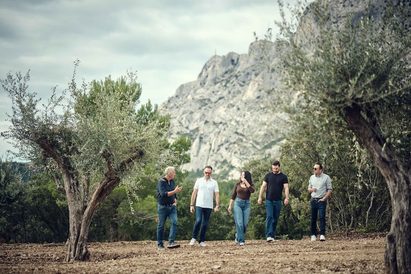 Picture 2 for Activity Sainte-Victoire: Tour of a Sanctuary of Thousand-Year-Old Olive Trees 4
