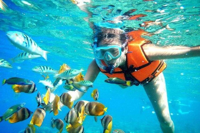 Picture 8 for Activity Nungwi:Private Crowd-Free Mnemba Dolphin&Starfish for Couple 5