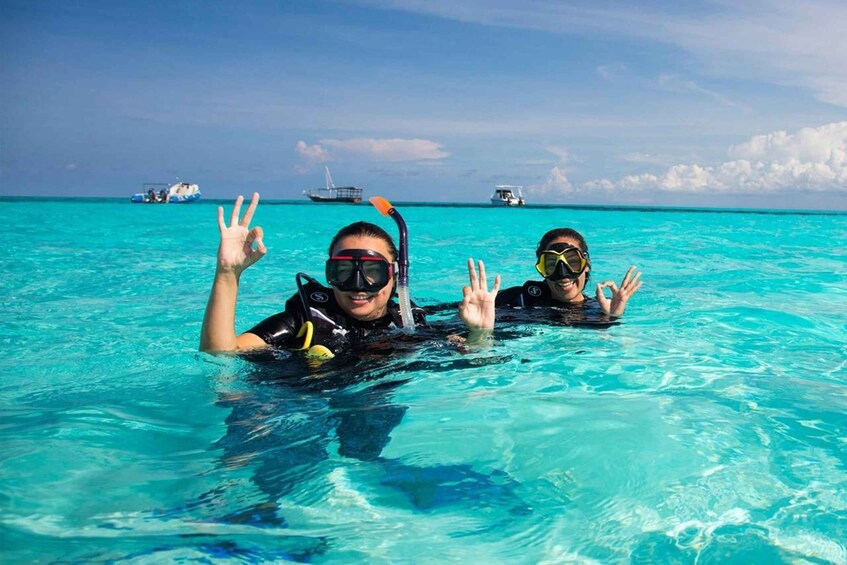 Picture 5 for Activity Nungwi:Private Crowd-Free Mnemba Dolphin&Starfish for Couple 3