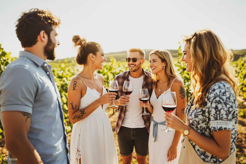 A group of people toasting with wine glasses in a vineyard. 1