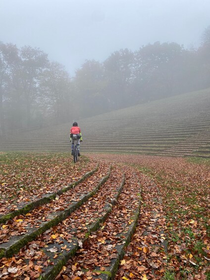 Heidelberg: Vintage Gravel Bike Tour 1