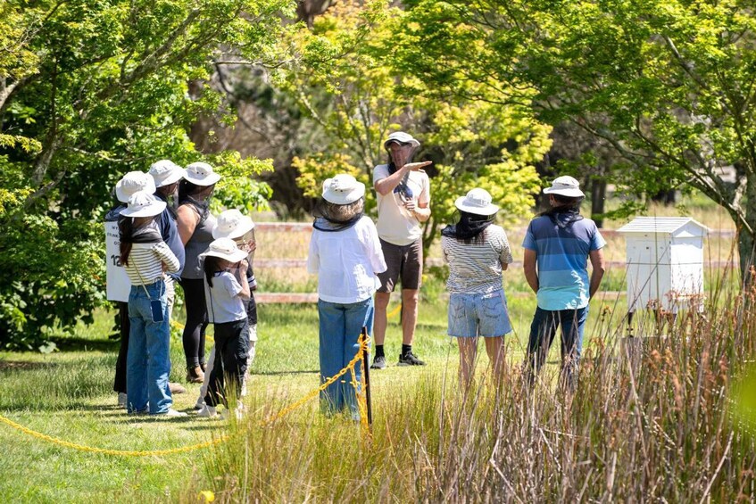 Picture 2 for Activity Bowral HoneyFarm. Tour, Tasting, Morning Tea & Honey Harvest 5