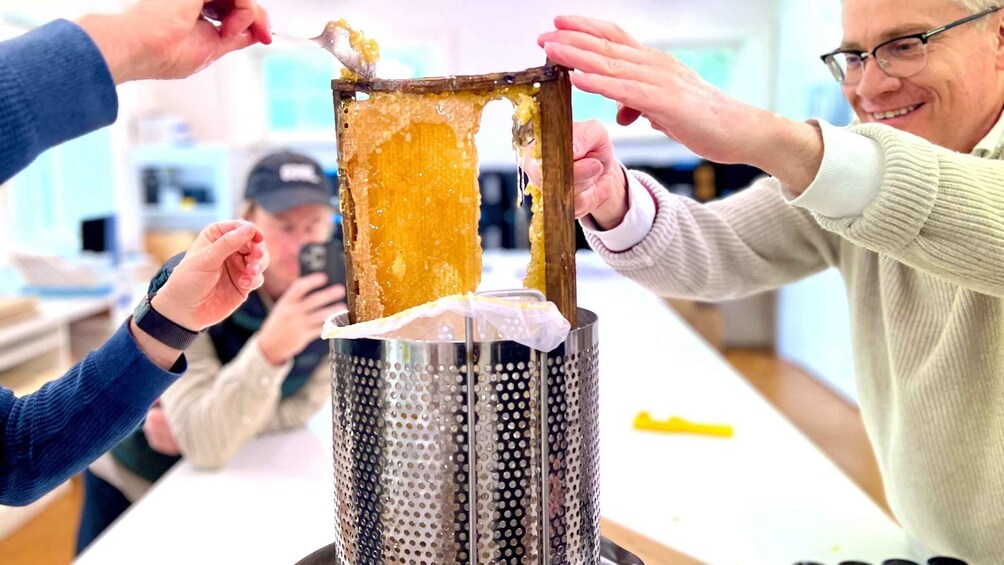 Bowral HoneyFarm. Tour, Tasting, Morning Tea & Honey Harvest 1