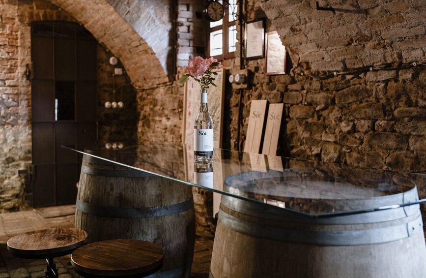 Picture 1 for Activity Bricco San Pietro Visit & Food Tasting 5