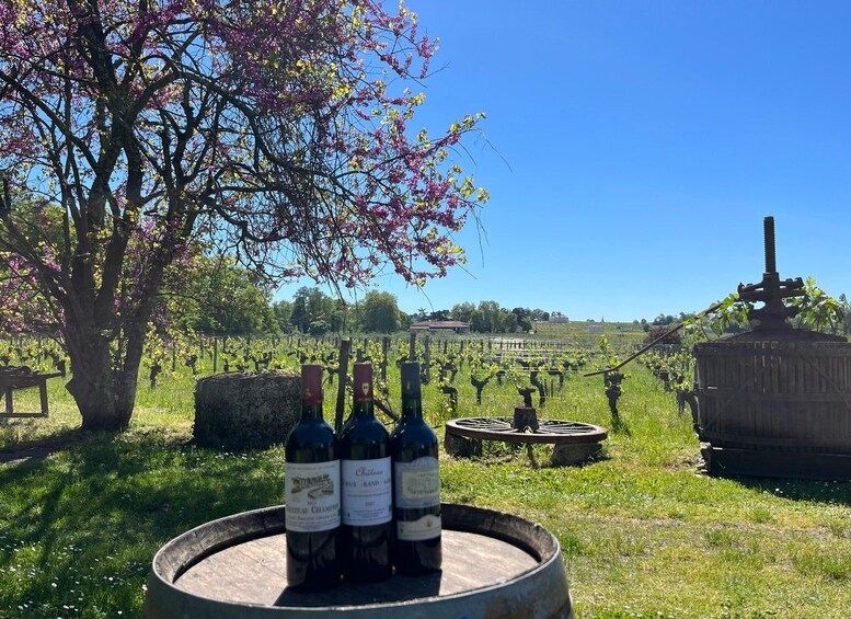 Picture 7 for Activity Saint-Emilion - Château Champion: "Terroirs and Vintages" Prestige Tour 2