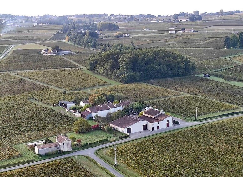 An aerial view of a rural area with fields, a large tree, and a cluster of white buildings. 5