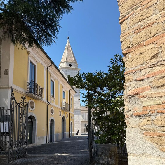 Picture 13 for Activity Benevento: Guided Tour among Witches, Myths and Mysteries 2