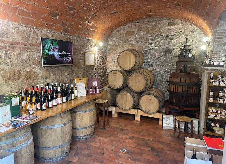 Picture 2 for Activity Castelli Romani: Wine Tasting near Rome in a Family Winery 2